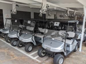 Golf Cart Fleet
